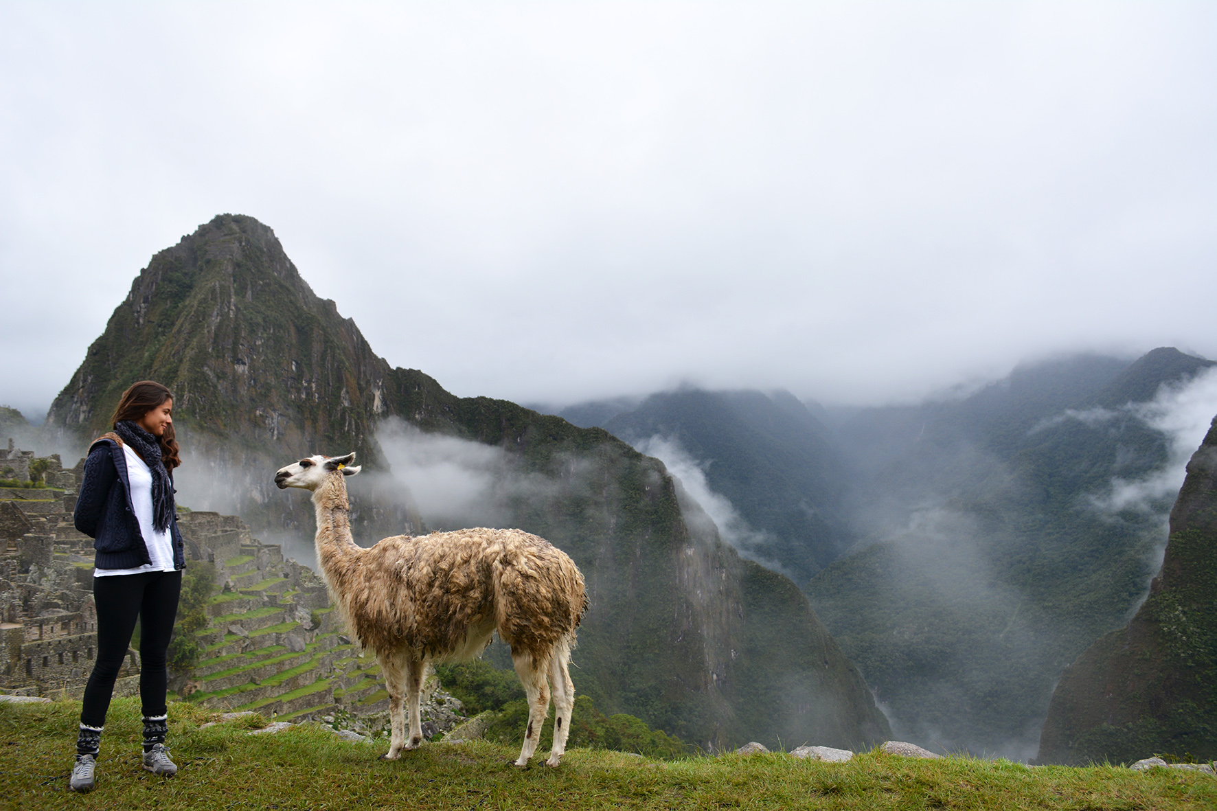 1. Peru e Bolívia - fev (519)