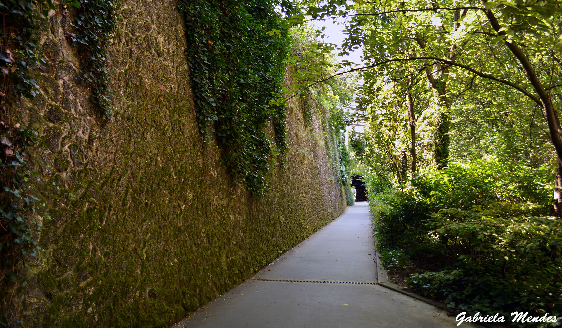 Um dos caminhos verdes que levam até o Bois de Vincennes.