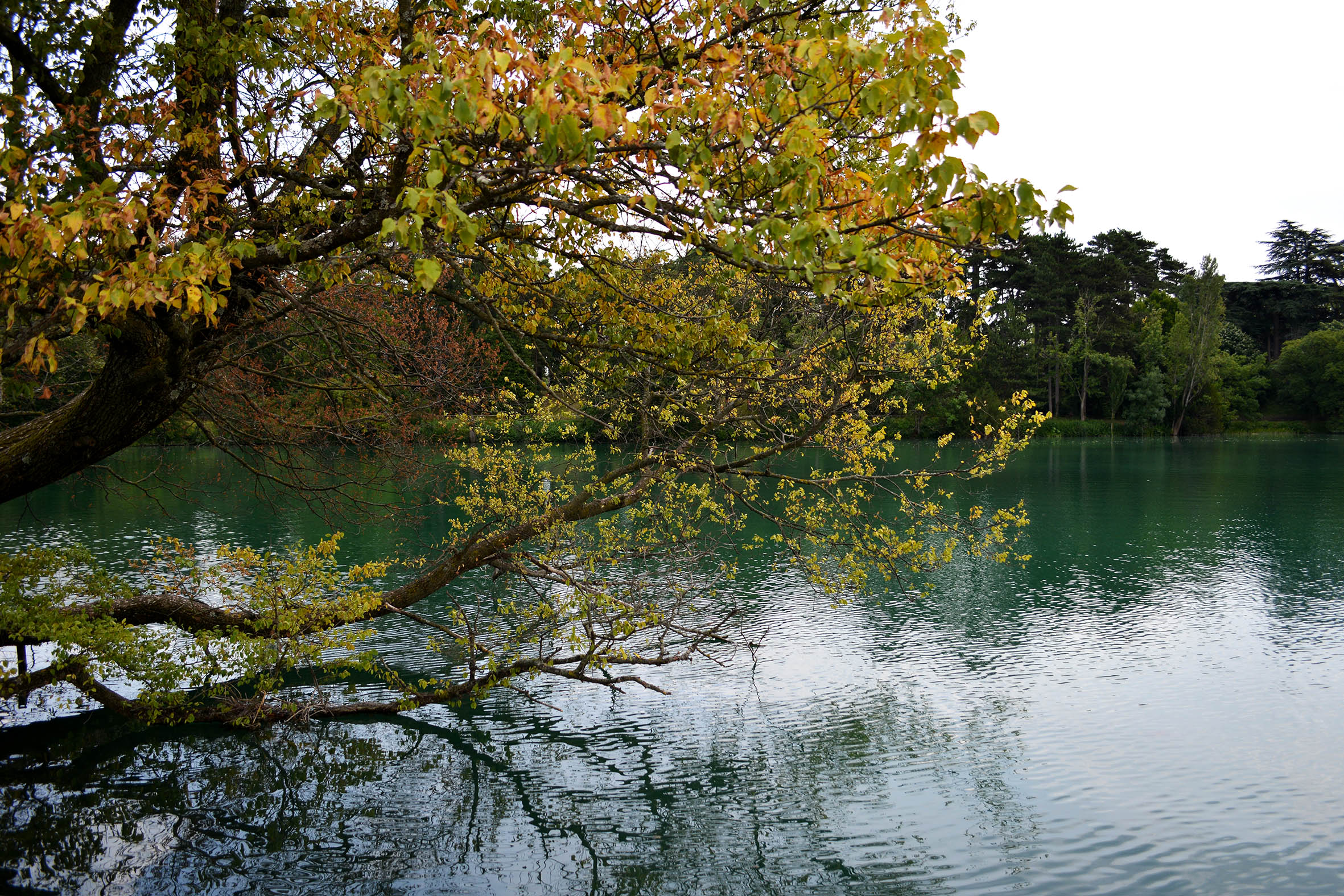 Parc de la Tête D'or 4 - Lyon