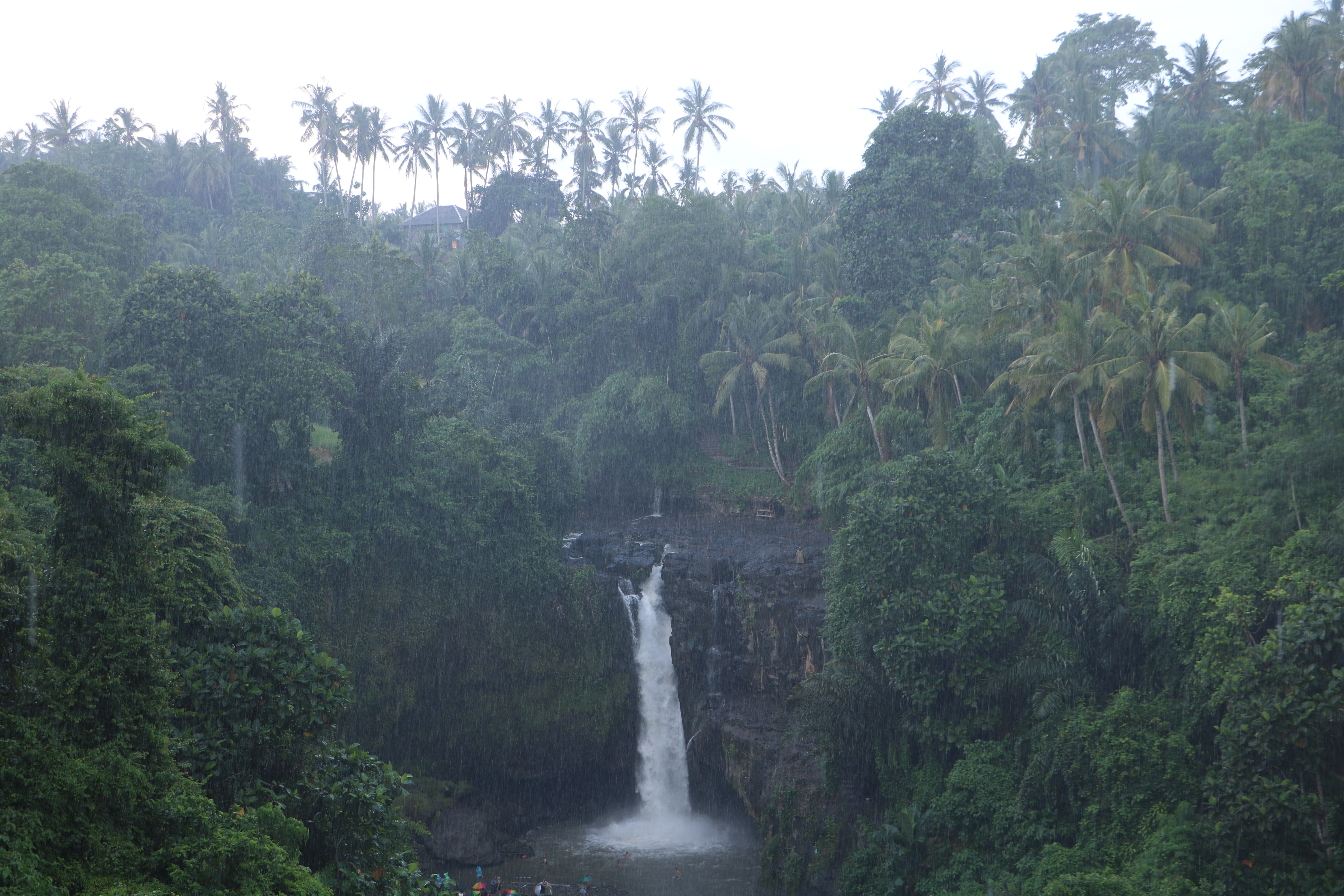 Waterfall Ubud Bali